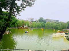 -莲湖公园