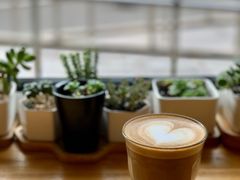 澳白-Cafe Villa