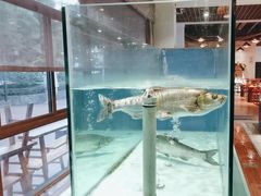 -顺兴鲜鱼庄·黑龙滩环球融创天堂洲际酒店