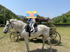 -梦娜斯庄园