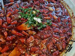 -青城甲(青城山店)