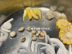 -椰小鸡·琼州糟粕醋(美兰缤纷城店)