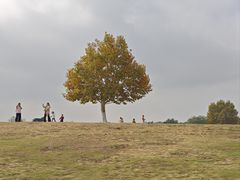 -钟山体育运动公园