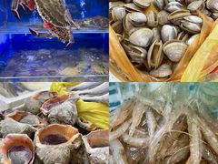 -小铜锣湾海鲜家常菜馆(河西店)