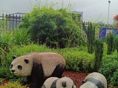 -四川大学(华西校区)