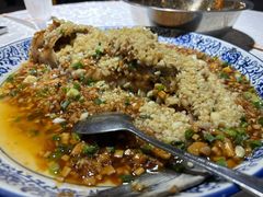 -高坎一品甲鱼庄(两河店)