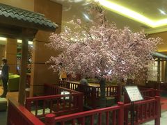 -大江户·温泉洗浴(浑南店)