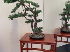 -鼎泰亨·海鲜牛肉餐厅(滨江店)
