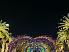 -三亚海昌梦幻海洋不夜城