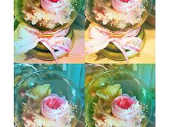 -植物学家的女儿(北马道巷店)