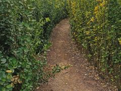 -西部长青自然儿童乐园