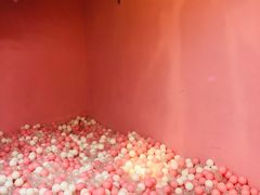 -pink baby·新晋网红打卡地