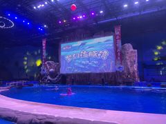 -华夏文旅西安度假区