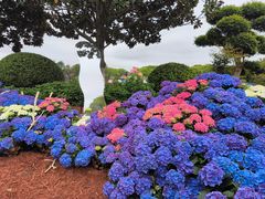 -上海鲜花港
