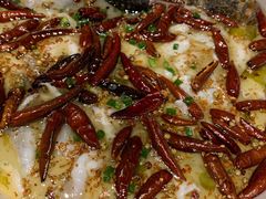 -首秀·四川料理(星耀101店)