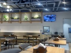 -翡翠拉面小笼包Crystal Jade(上海浦东国际机场T1店)