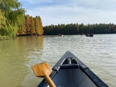 -上海海湾国家森林公园