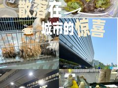-重庆国际会议展览中心