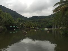 -呀诺达热带雨林