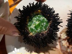 海胆-南蚝小贝海鲜特色餐厅(南澳岛店)
