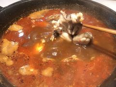 -老天桥蛙炉火锅(姑苏总店)