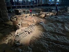 -自贡恐龙博物馆