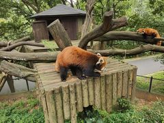 -云南野生动物园