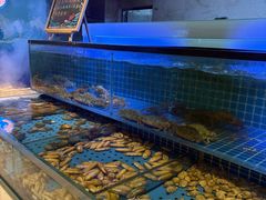 -冀粤香海鲜自助餐厅(西美五洲店)
