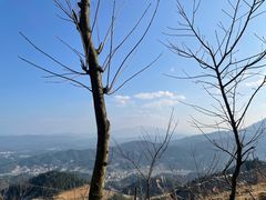 -紫鹊界梯田景区
