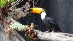 -Zoolung Zoolung动物主题公园(海信广场店)