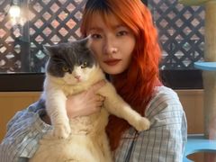 -MOCHA明星猫咖(田子坊店)