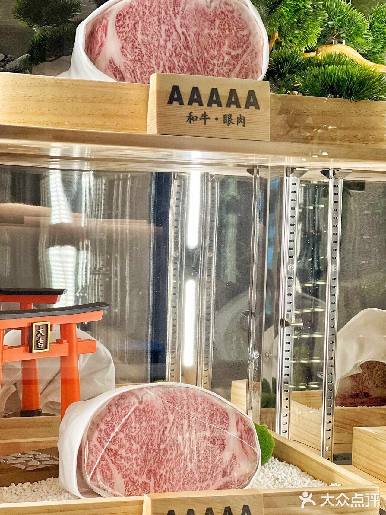 一口入魂的神仙级烧肉店，我爱了！