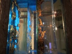 郑庄脂渣海鲜楼(李村店)-郑庄脂渣海鲜楼(九水路店)
