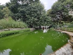 -成都市活水公园