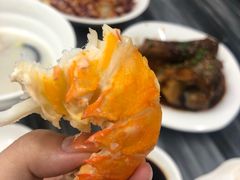 -新会鲜蚝鸡煲(新会总店)