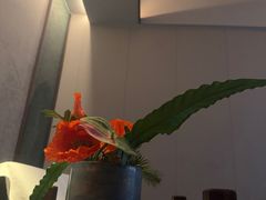 -和子足浴SPA会馆(东方之门店)