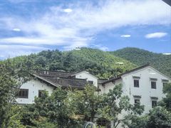 -紫藤园·天目湖大鱼头(南山竹海店)