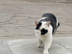 -须弥福寿之庙