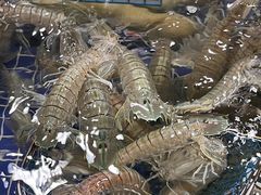 -明记海鲜大排档(巽寮湾店)
