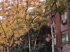 -浙江大学(玉泉校区)