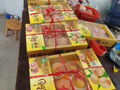 -南汇水蜜桃采摘(大团店)