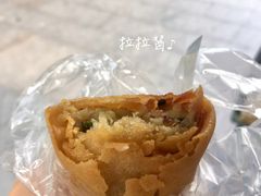 春卷-胡荣泉
