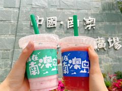 -南澳岛打卡果汁冰公司