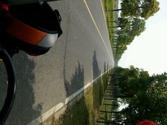 android_upload_pic-漕湖湿地公园