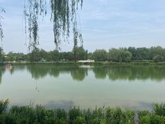 -河北省园博园