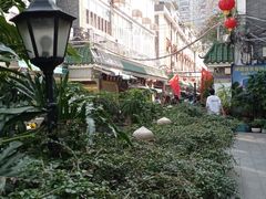 -华林禅寺