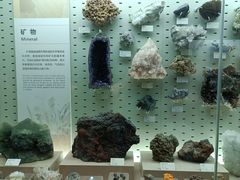 -浙江自然博物院(杭州馆)
