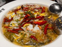 -新太二·鲜料川菜(万泰汇店)