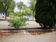 -安飞驰驾校·学车连锁(金高店)