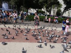 广场-加泰罗尼亚广场